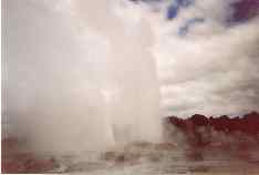 Rotorua geyser